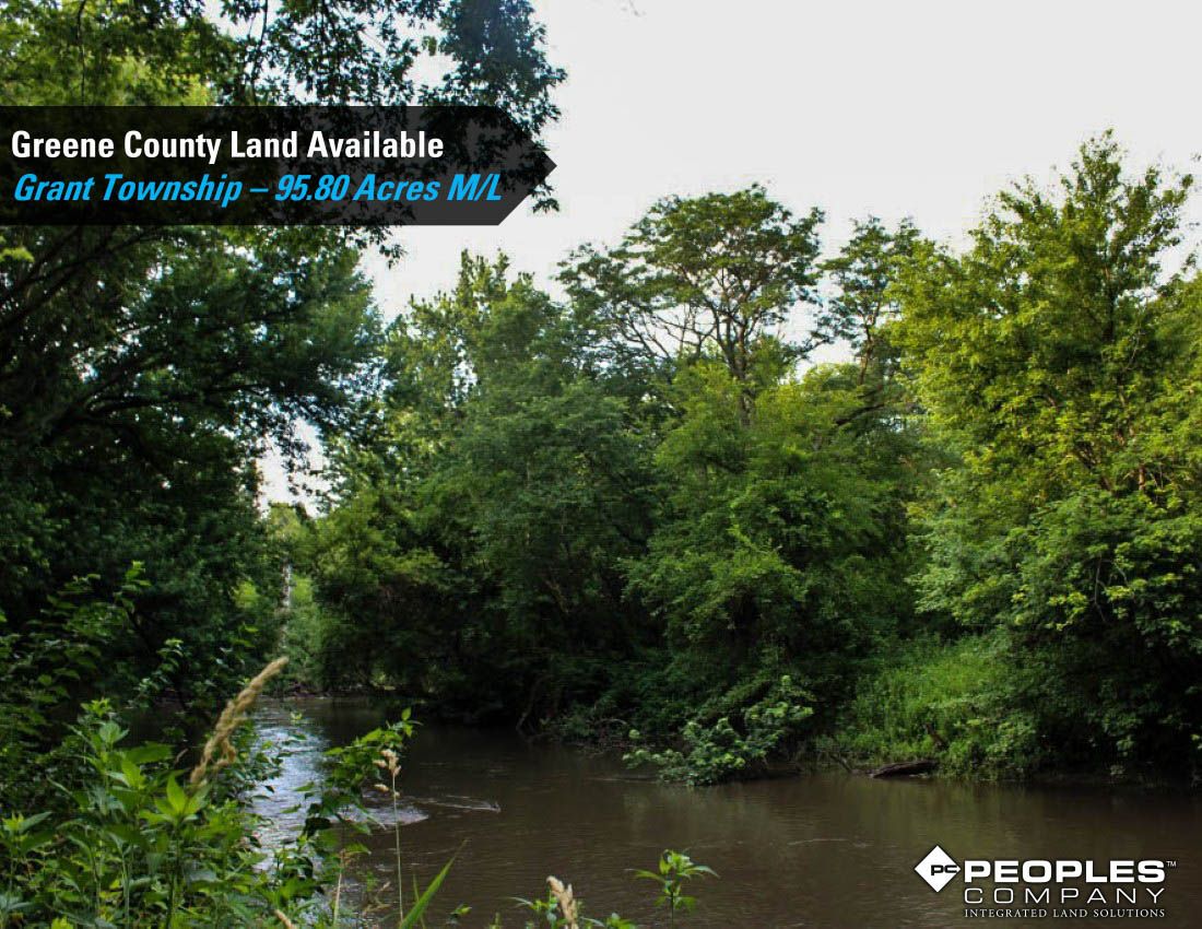 Listing Photo: Greene-Co-Rec-Land-Available-95-Acres-19559 (28)